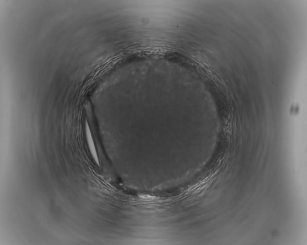 X0000094910818200712201155