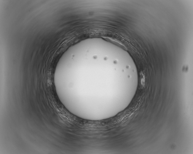 X0000094910819200712201155