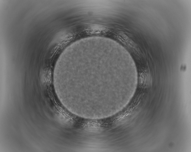 X0000094910820200712201155