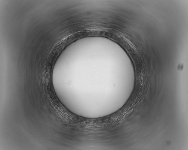 X0000094910821200712201155