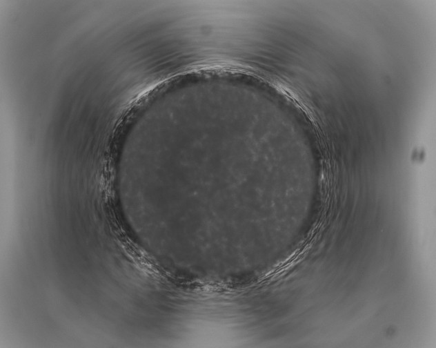 X0000094910822200712201155