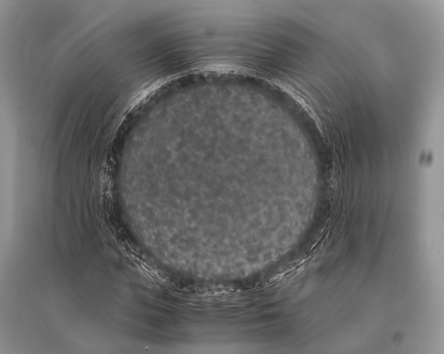 X0000094910823200712201155