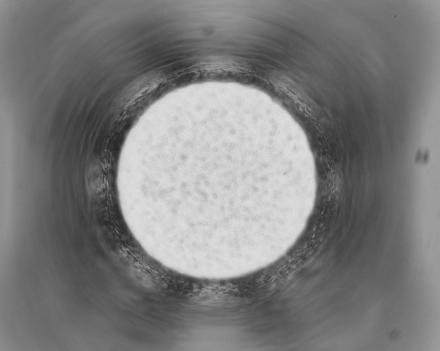 X0000094910824200712201155