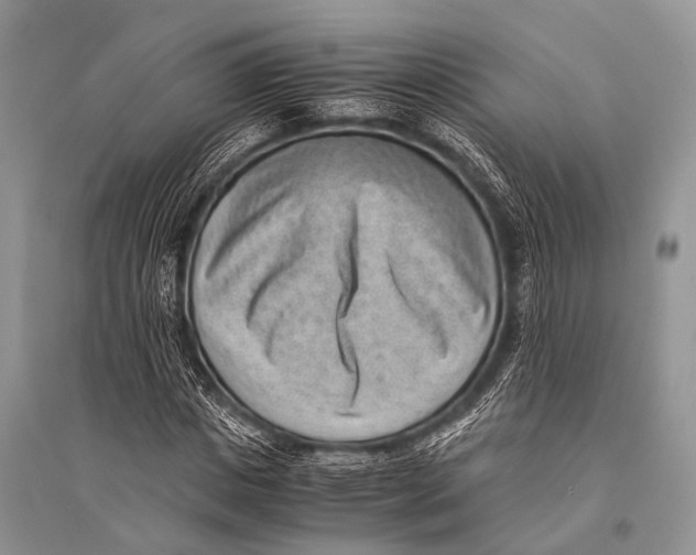 X0000094910825200712201155