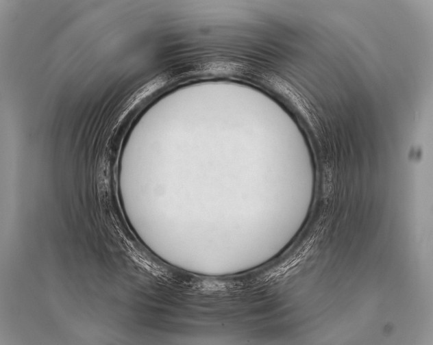X0000094910827200712201155