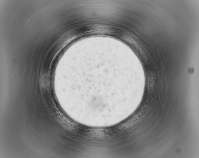 X0000094910828200712201155