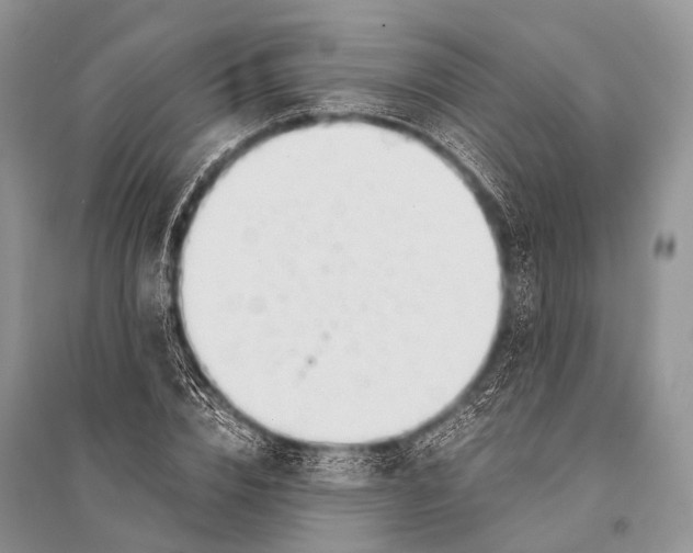 X0000094910832200712201155