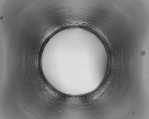 X0000094910834200712201155