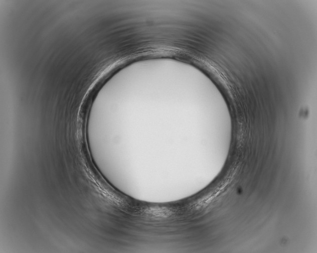 X0000094910835200712201155