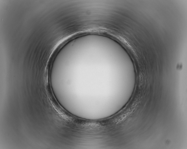 X0000094910838200712201155