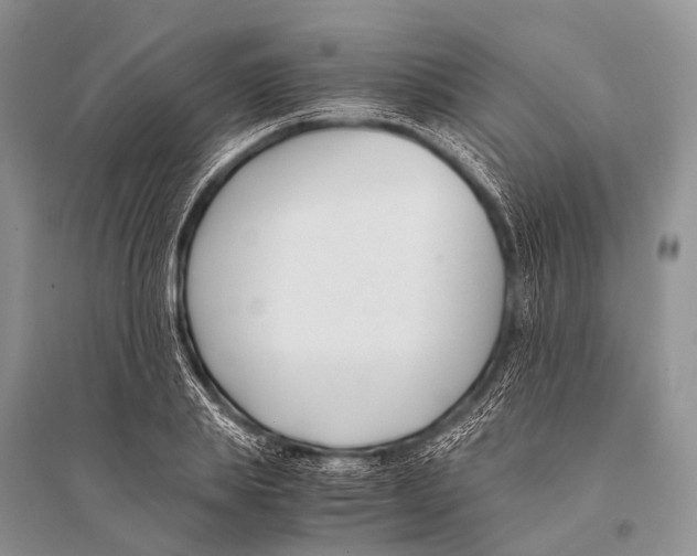 X0000094910839200712201155