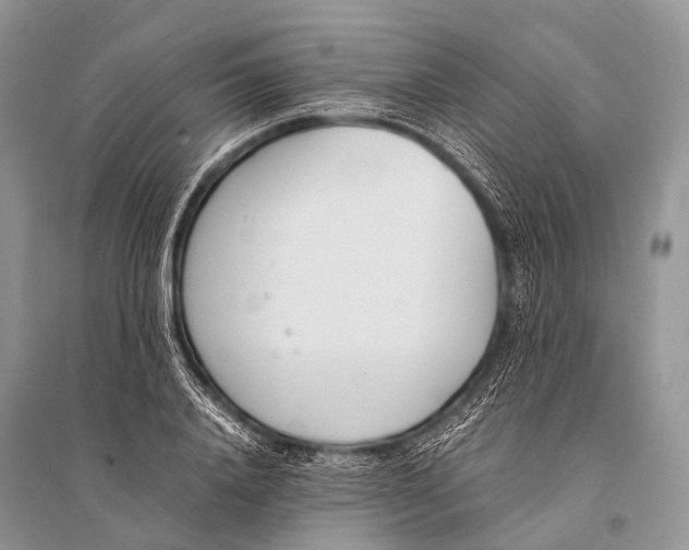 X0000094910840200712201155