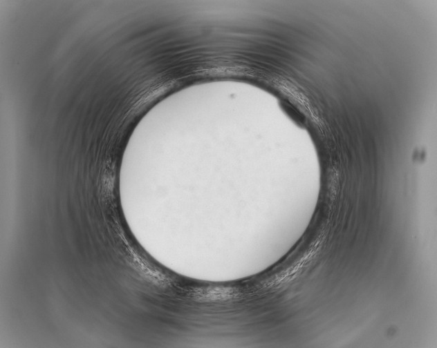 X0000094910841200712201155