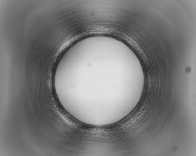 X0000094910842200712201155