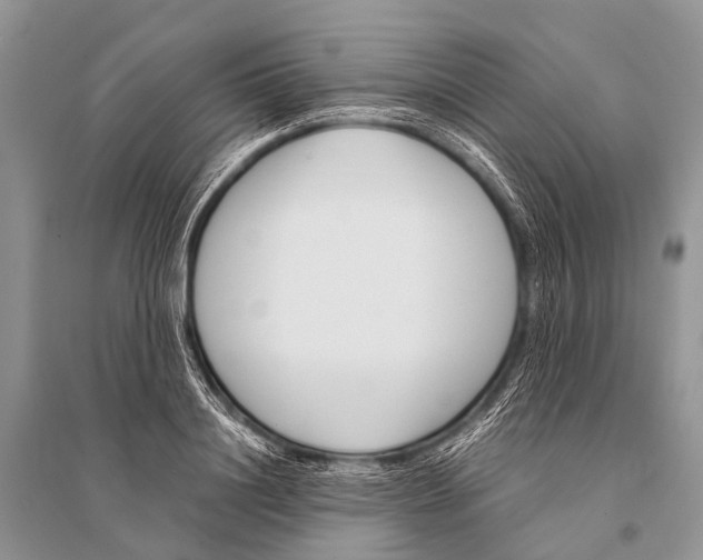 X0000094910844200712201155