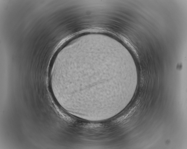 X0000094910845200712201155