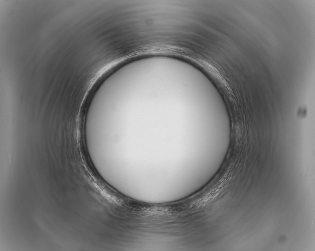 X0000094910846200712201155