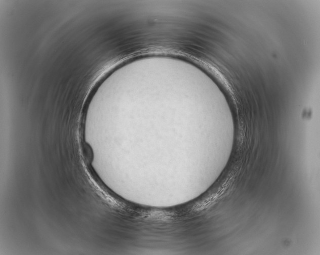 X0000094910847200712201155