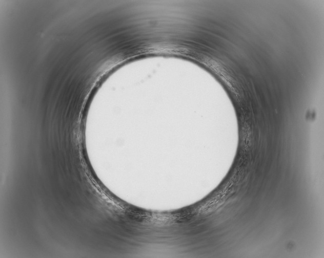X0000094910848200712201155