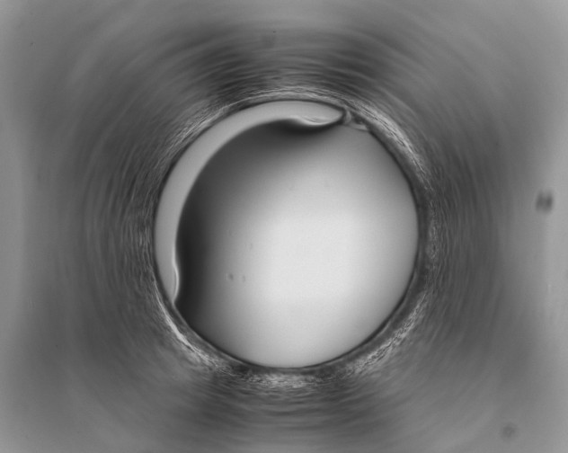 X0000094910849200712201155
