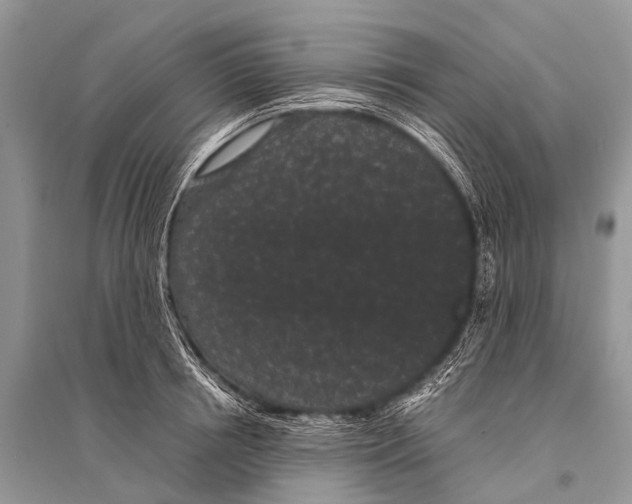 X0000094910850200712201155