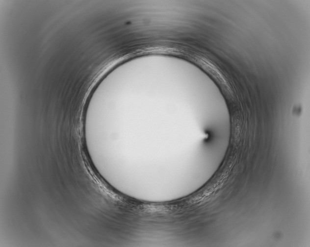 X0000094910852200712201155