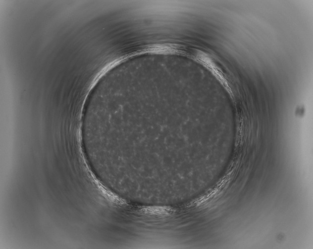 X0000094910853200712201155