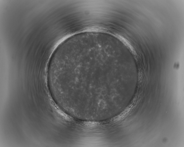 X0000094910854200712201155