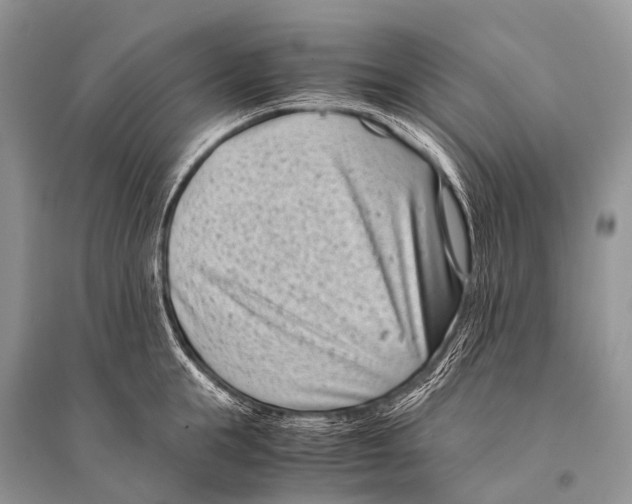 X0000094910855200712201155