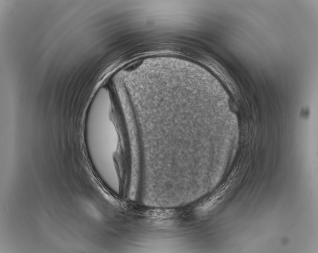 X0000094910858200712201156