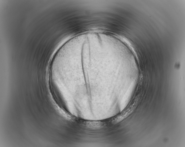 X0000094910859200712201156