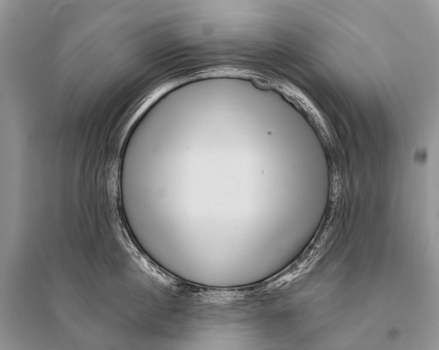 X0000094910860200712201156