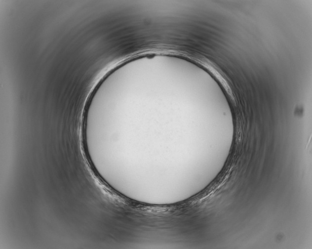 X0000094910861200712201156