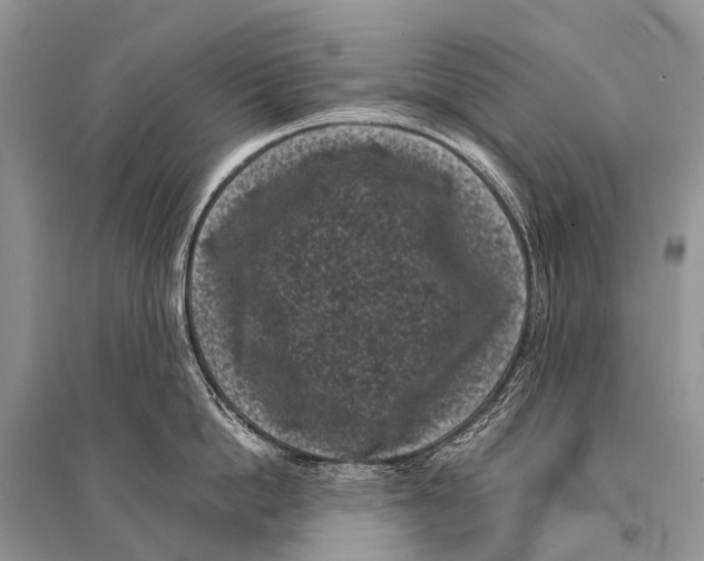 X0000094910862200712201156