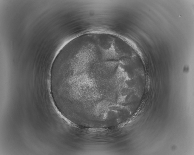 X0000094910863200712201156