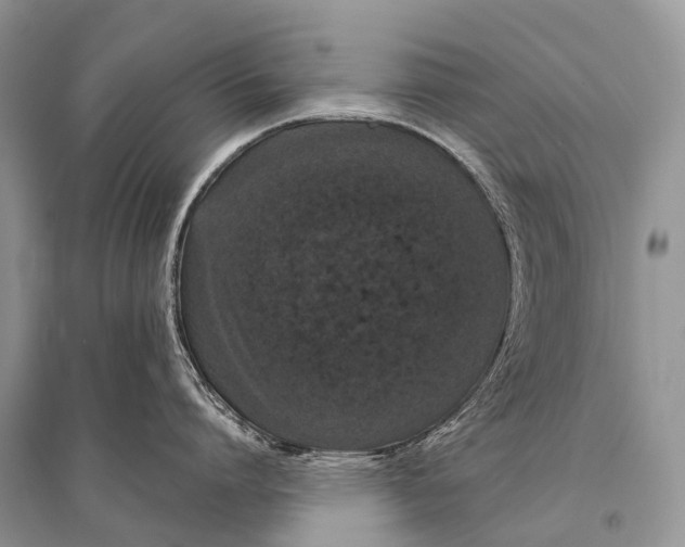 X0000094910864200712201156