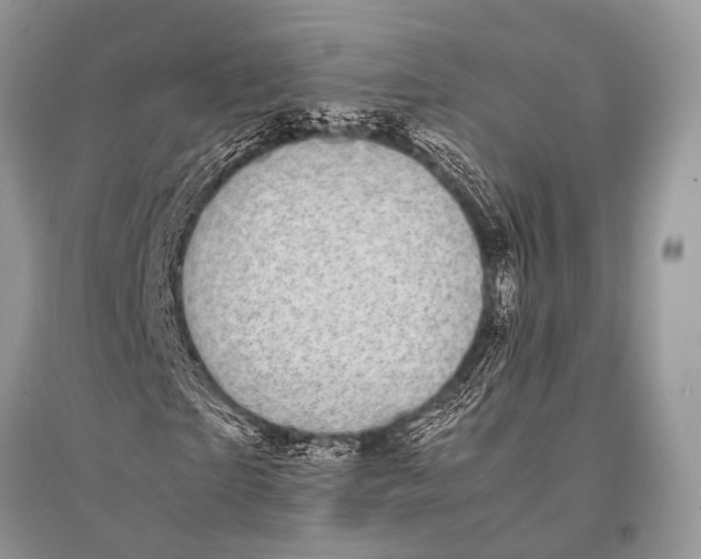 X0000094910865200712201155