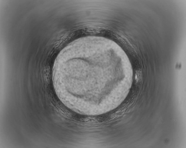 X0000094910867200712201155