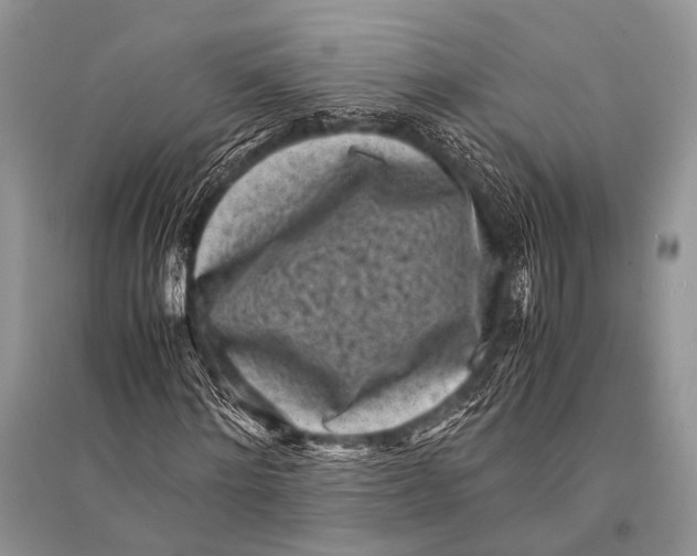 X0000094910868200712201155