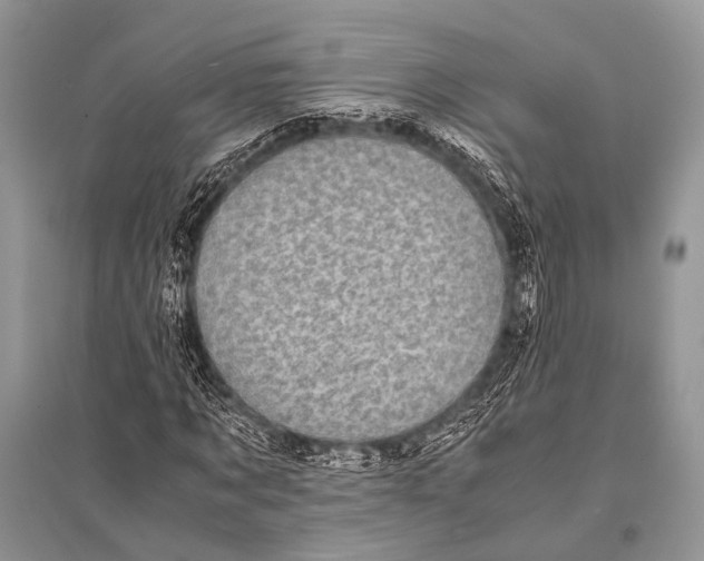 X0000094910869200712201155