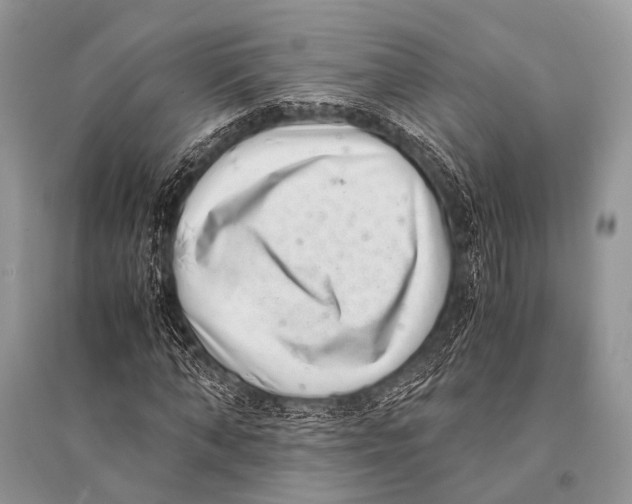 X0000094910870200712201155
