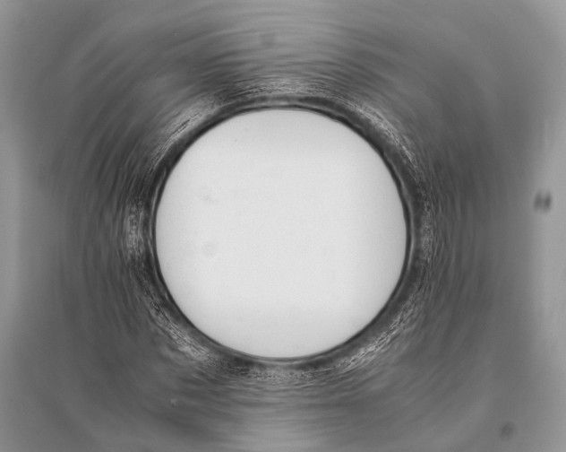 X0000094910873200712201155