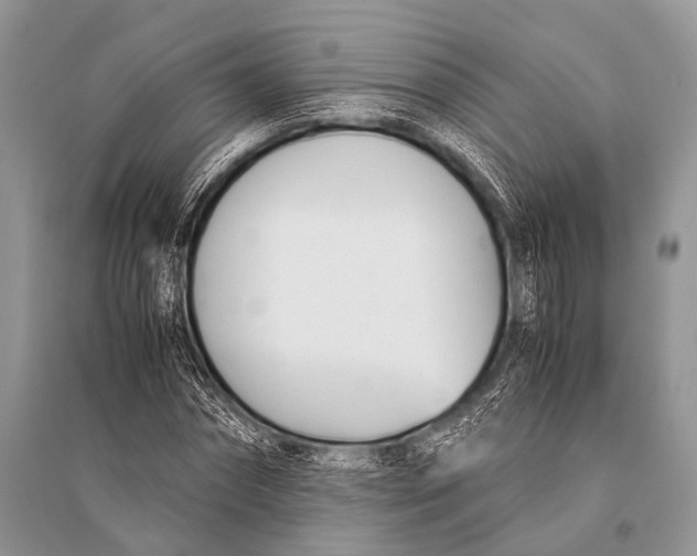 X0000094910874200712201155