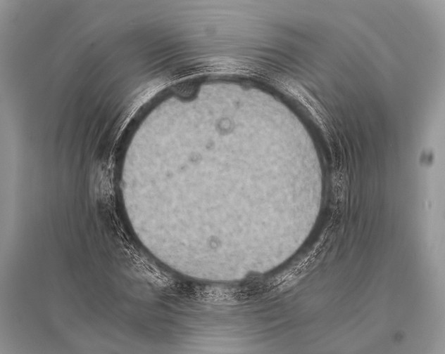 X0000094910875200712201155