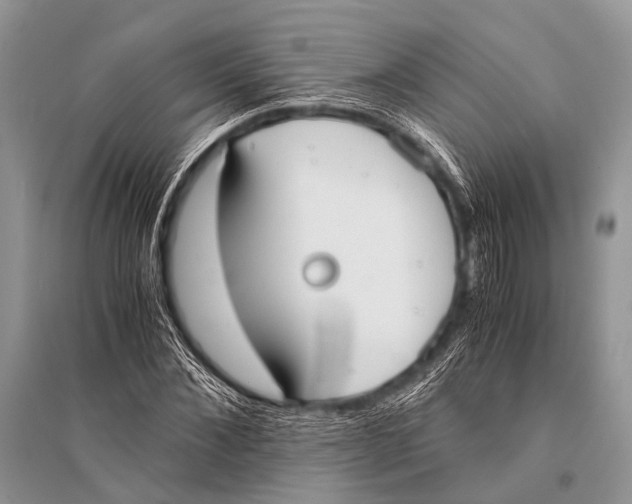 X0000094910876200712201155