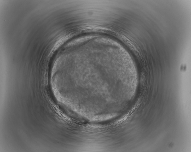 X0000094910877200712201155