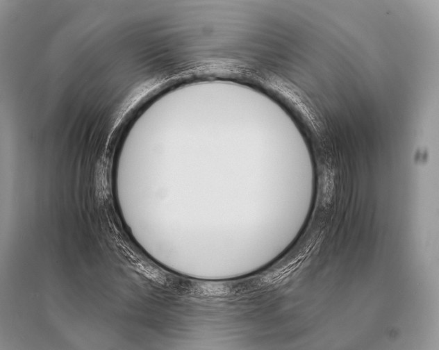 X0000094910878200712201155