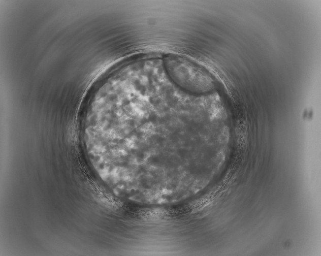 X0000094910879200712201155