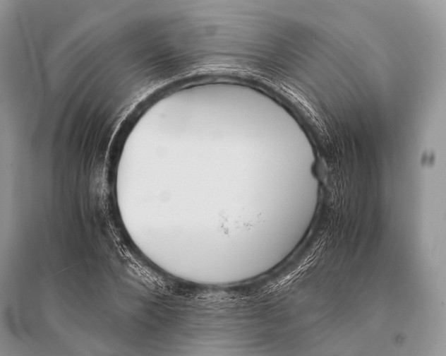 X0000094910880200712201155