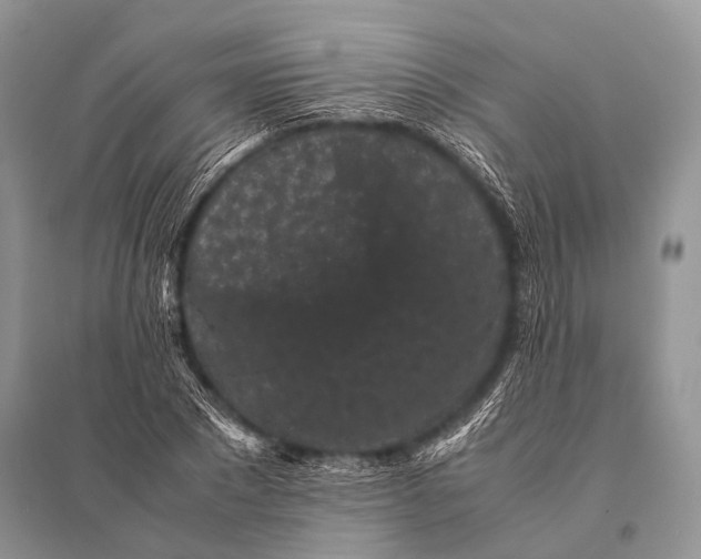 X0000094910881200712201155